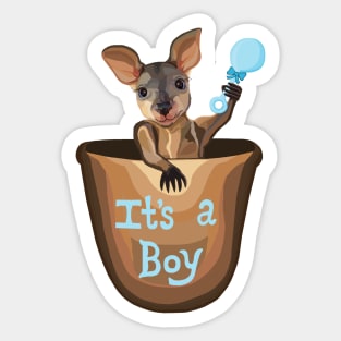 Kangaroo Baby: It's a Boy Sticker
